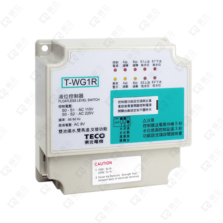 T-WG1R