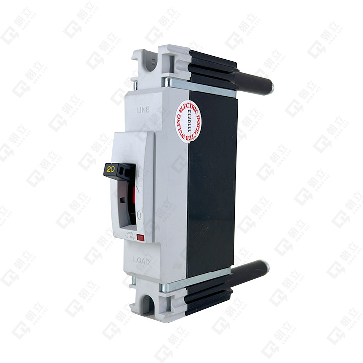 NF100-WE(背接式)無熔絲開關