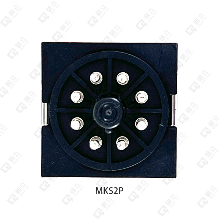 MKS2P小型電力繼電器