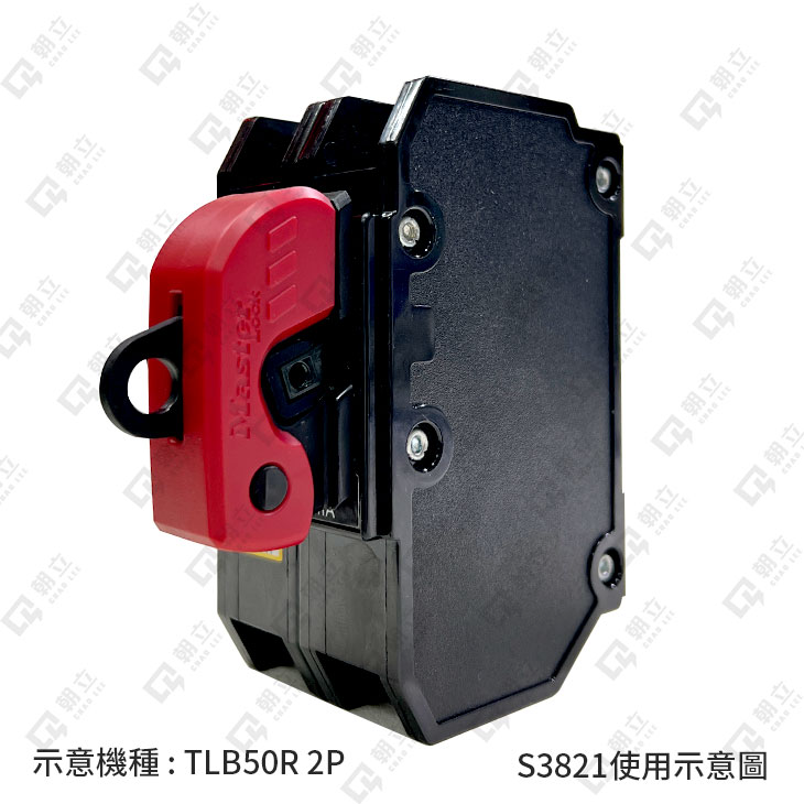 S3821