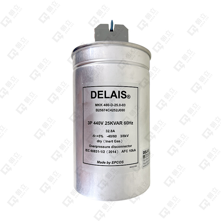 DELAIS-MKK-480-D-25電容器-730.jpg